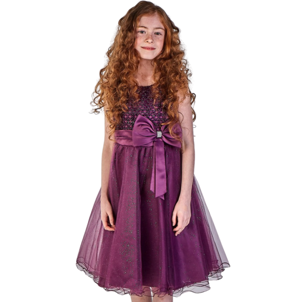 Girls Sparkle Bow Dress Purple